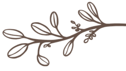 logo-leaf-new trufa market logo with earthy color palette (6)
